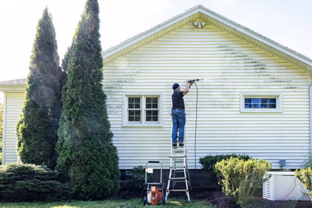 Best Solar Panel Cleaning  in Dacula, GA